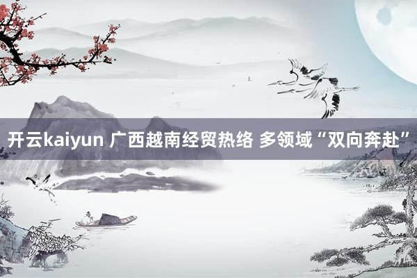 开云kaiyun 广西越南经贸热络 多领域“双向奔赴”