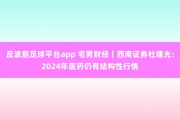 反波胆足球平台app 宅男财经｜西南证券杜曙光：2024年医药仍有结构性行情