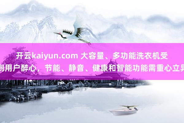 开云kaiyun.com 大容量、多功能洗衣机受到用户醉心，节能、静音、健康和智能功能需重心立异