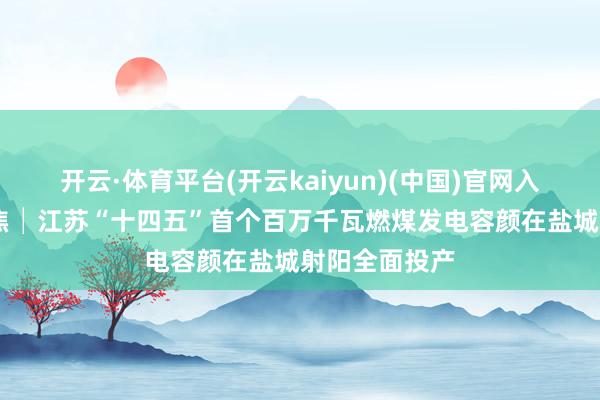 开云·体育平台(开云kaiyun)(中国)官网入口登录 全聚焦│江苏“十四五”首个百万千瓦燃煤发电容颜在盐城射阳全面投产