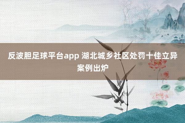 反波胆足球平台app 湖北城乡社区处罚十佳立异案例出炉