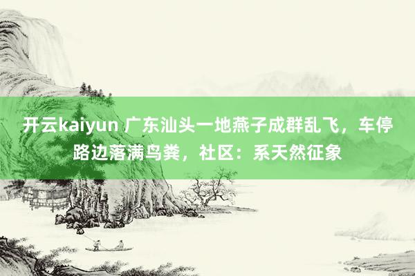 开云kaiyun 广东汕头一地燕子成群乱飞，车停路边落满鸟粪，社区：系天然征象