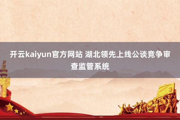 开云kaiyun官方网站 湖北领先上线公谈竞争审查监管系统