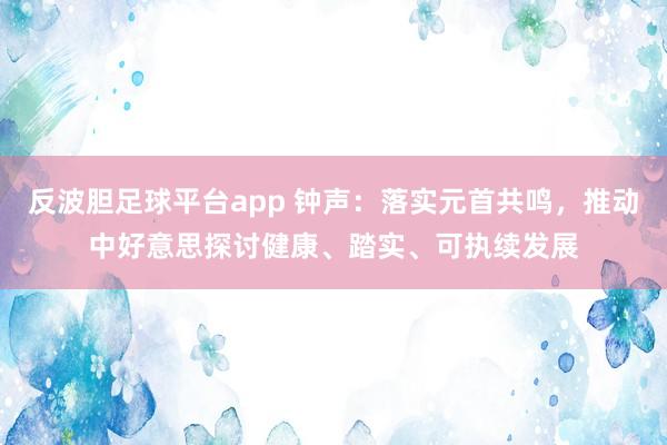 反波胆足球平台app 钟声：落实元首共鸣，推动中好意思探讨健康、踏实、可执续发展