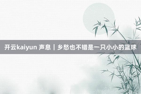 开云kaiyun 声息｜乡愁也不错是一只小小的篮球