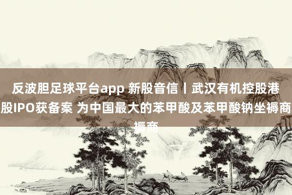 反波胆足球平台app 新股音信丨武汉有机控股港股IPO获备案 为中国最大的苯甲酸及苯甲酸钠坐褥商