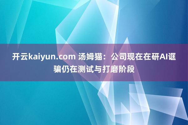 开云kaiyun.com 汤姆猫：公司现在在研AI诓骗仍在测试与打磨阶段