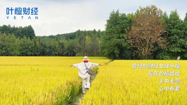 开云kaiyun体育 我的心被冷凌弃挖走 我是宇宙上最灾难的母亲｜叶檀复书