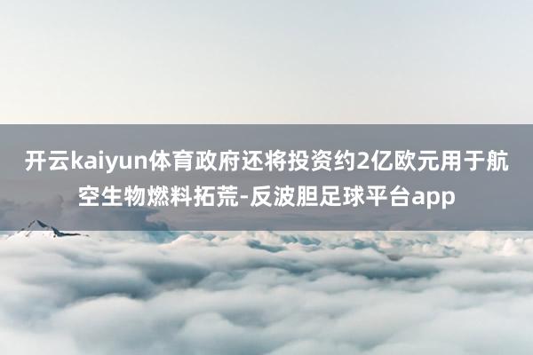 开云kaiyun体育政府还将投资约2亿欧元用于航空生物燃料拓荒-反波胆足球平台app