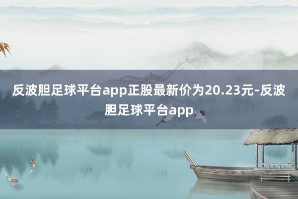 反波胆足球平台app正股最新价为20.23元-反波胆足球平台app