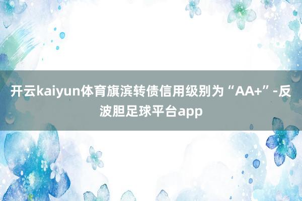 开云kaiyun体育旗滨转债信用级别为“AA+”-反波胆足球平台app