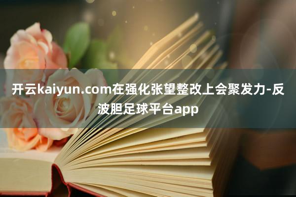 开云kaiyun.com在强化张望整改上会聚发力-反波胆足球平台app