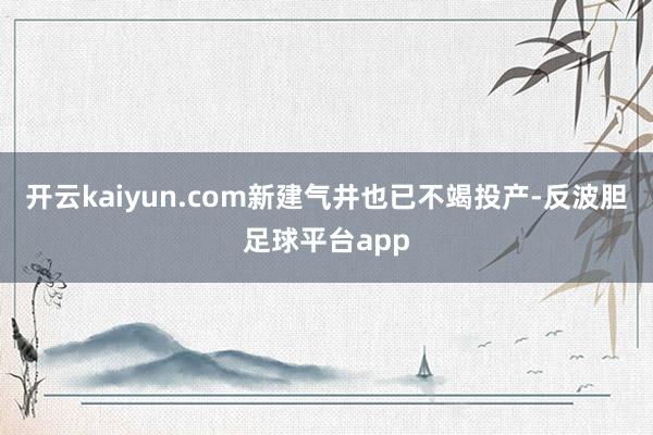 开云kaiyun.com新建气井也已不竭投产-反波胆足球平台app