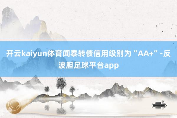 开云kaiyun体育闻泰转债信用级别为“AA+”-反波胆足球平台app