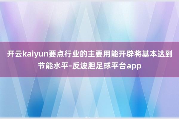 开云kaiyun要点行业的主要用能开辟将基本达到节能水平-反波胆足球平台app