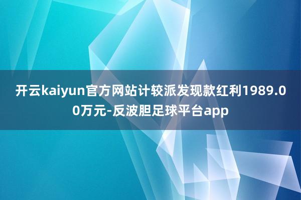 开云kaiyun官方网站计较派发现款红利1989.00万元-反波胆足球平台app