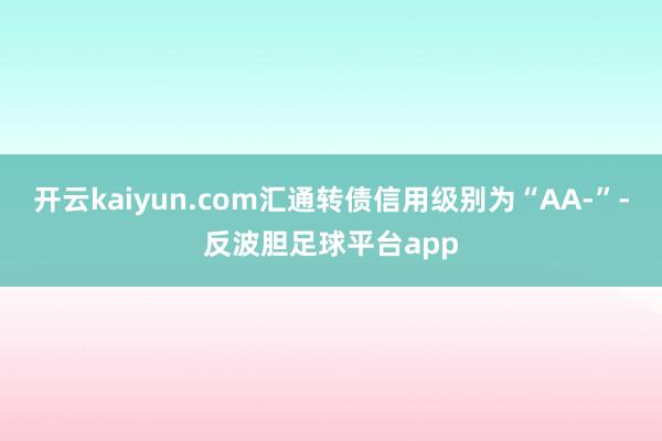 开云kaiyun.com汇通转债信用级别为“AA-”-反波胆足球平台app