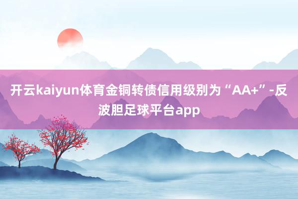 开云kaiyun体育金铜转债信用级别为“AA+”-反波胆足球平台app