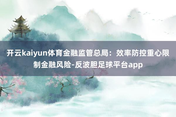 开云kaiyun体育金融监管总局：效率防控重心限制金融风险-反波胆足球平台app