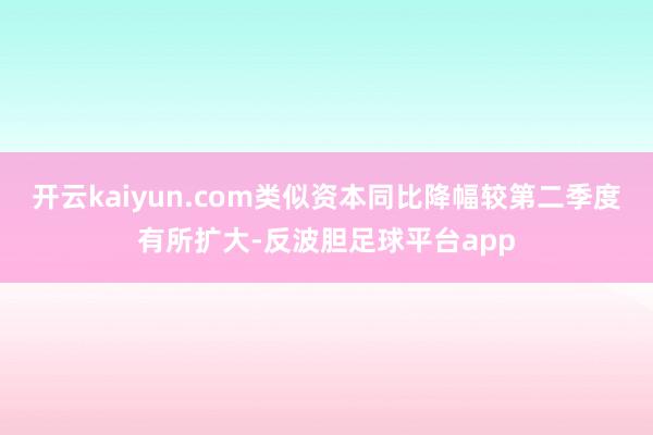 开云kaiyun.com类似资本同比降幅较第二季度有所扩大-反波胆足球平台app