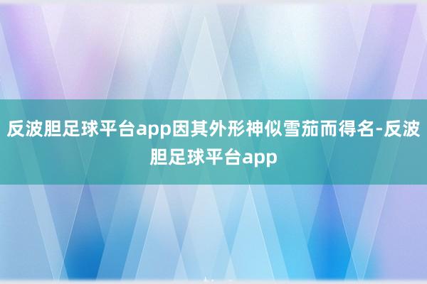 反波胆足球平台app因其外形神似雪茄而得名-反波胆足球平台app