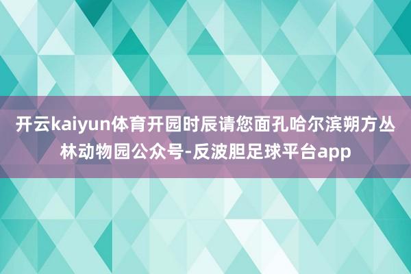 开云kaiyun体育开园时辰请您面孔哈尔滨朔方丛林动物园公众号-反波胆足球平台app