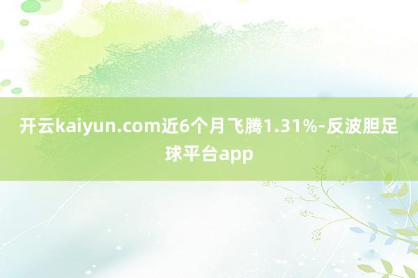 开云kaiyun.com近6个月飞腾1.31%-反波胆足球平台app