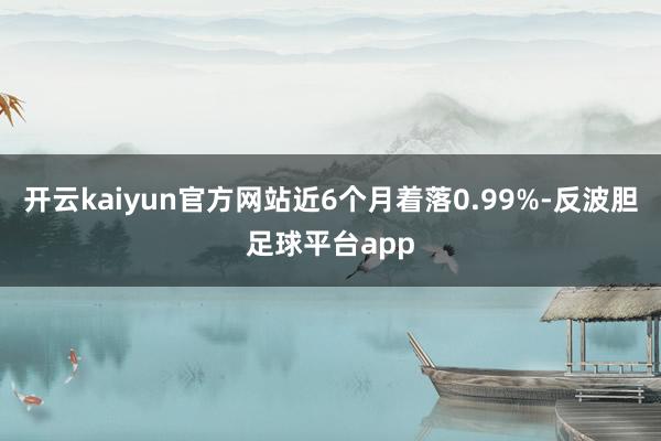 开云kaiyun官方网站近6个月着落0.99%-反波胆足球平台app