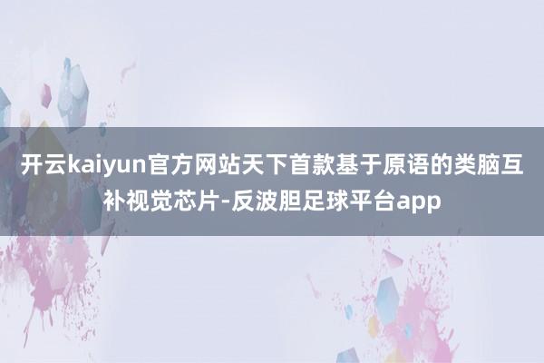 开云kaiyun官方网站天下首款基于原语的类脑互补视觉芯片-反波胆足球平台app