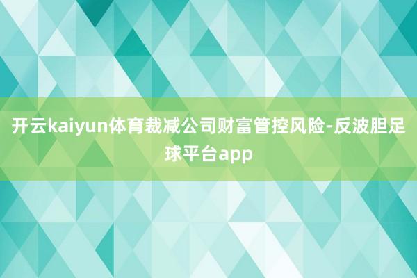 开云kaiyun体育裁减公司财富管控风险-反波胆足球平台app