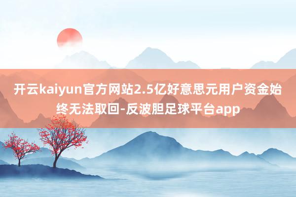 开云kaiyun官方网站2.5亿好意思元用户资金始终无法取回-反波胆足球平台app