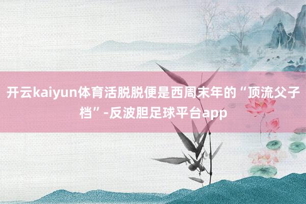 开云kaiyun体育活脱脱便是西周末年的“顶流父子档”-反波胆足球平台app