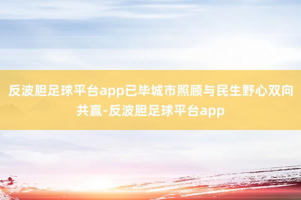 反波胆足球平台app已毕城市照顾与民生野心双向共赢-反波胆足球平台app