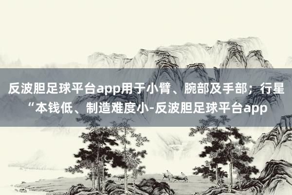 反波胆足球平台app用于小臂、腕部及手部；行星“本钱低、制造难度小-反波胆足球平台app